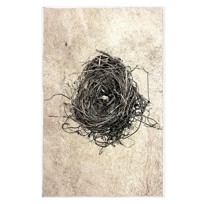 Barloga Studios Kozo Amante Nests Study #8