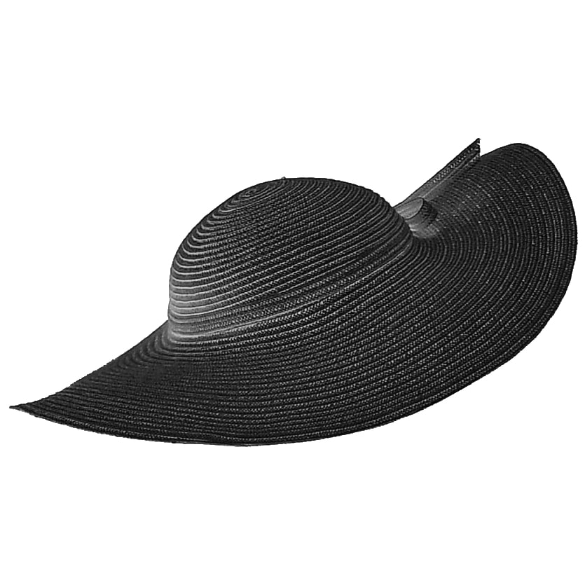 Dior X Stephen Jones Wide Brim Crin Hat In Black