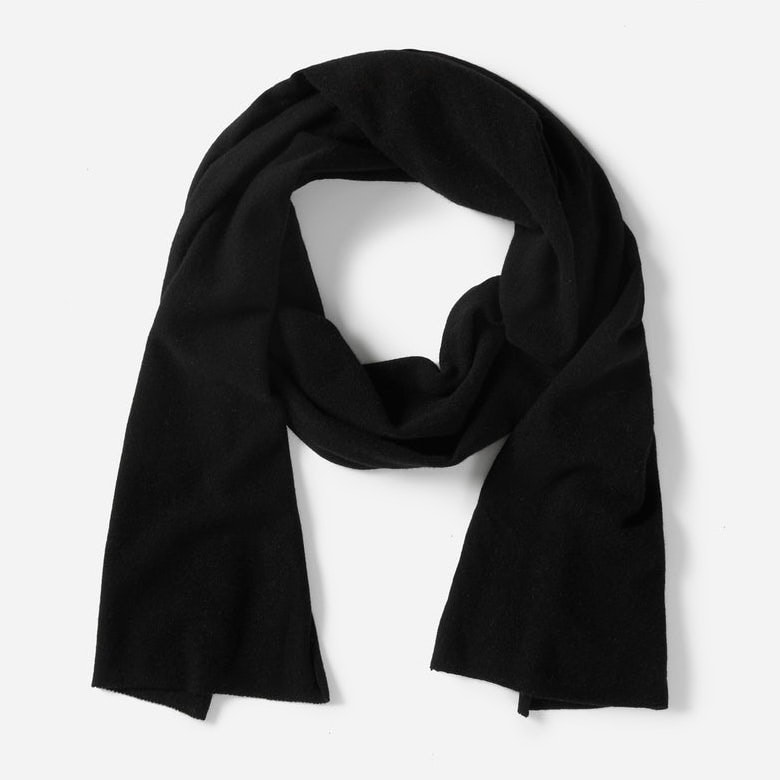Everlane The Cashmere Scarf in Black